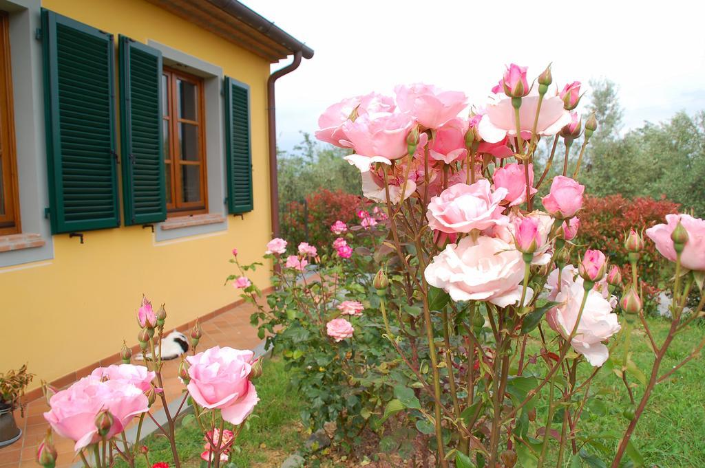 Il Podere Di Giustina Villa Montecarlo Bagian luar foto